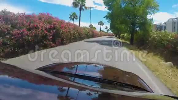 出租车沿着乡村道路行驶观赏棕榈树和花丛视频的预览图