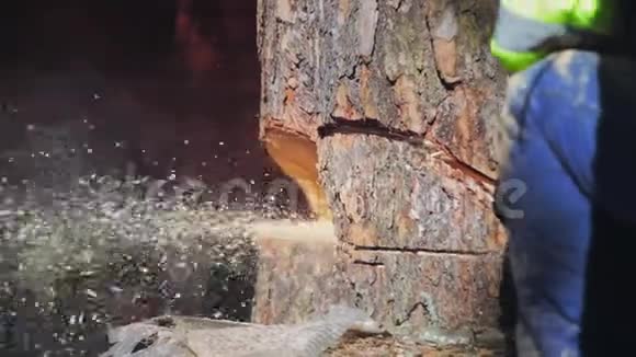 树锯电锯飞锯末视频的预览图