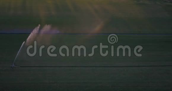 空中飞行在马球场上用大喷头浇草形成彩虹视频的预览图