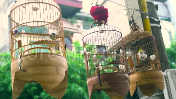 在越南河内首都旧城区的街道上出售笼中的笼中鸣禽视频的预览图