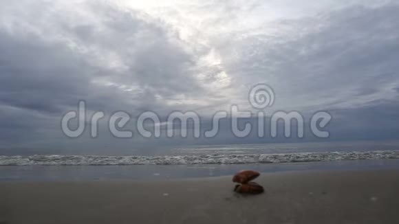 暑假带海波的沙滩上的海壳视频的预览图