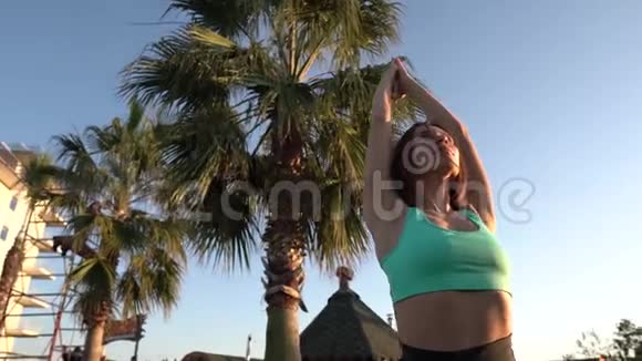 一个年轻漂亮的女孩在棕榈树上做瑜伽慢速运动4k视频的预览图