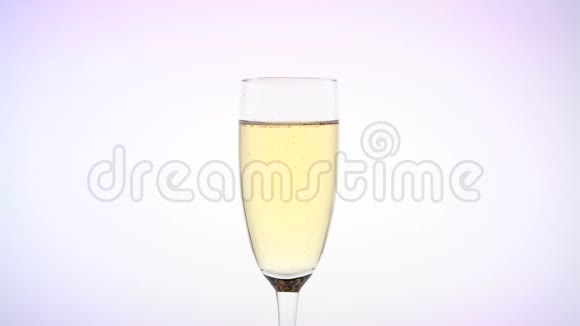 猩红玫瑰花蕾在闪闪发光的香槟杯里白色背景视频的预览图