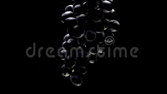 蓝葡萄在透明水中黑色背景下漂浮的枝视频的预览图