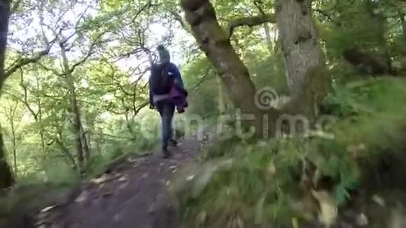 女性徒步穿越森林视频的预览图