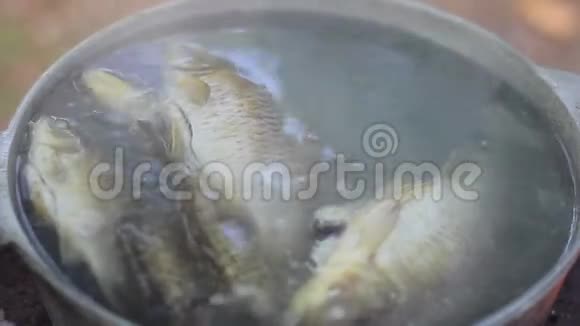用金属锅煮的鱼的汤视频的预览图