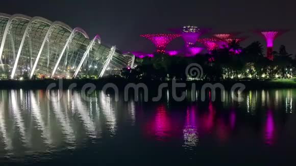 新加坡花园狂想曲之光与音乐剧快速运动无缝回路视频的预览图
