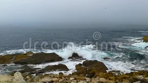 葡萄牙海岸的大西洋海滩视频的预览图
