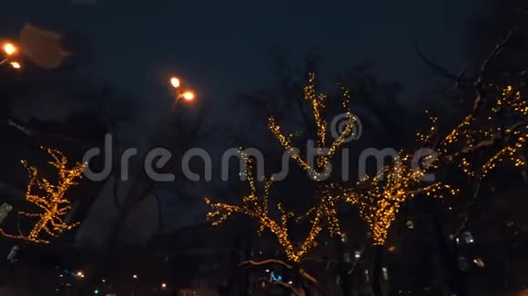 夜晚用圣诞彩灯装饰树木视频的预览图