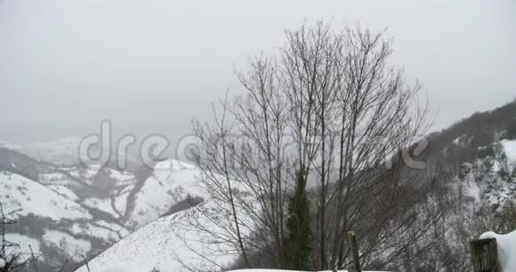 白雪覆盖的山顶的景色视频的预览图