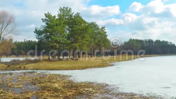 山湖有绿松石水和绿树水中的倒影山峦叠翠的春色美景视频的预览图