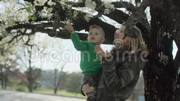幸福的年轻女子在后院4k把她的小儿子抱在树下的画像视频的预览图