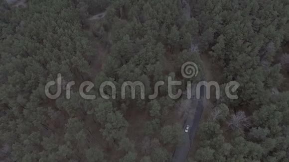 在城市河流铁路桥边的松林上空飞行视频的预览图