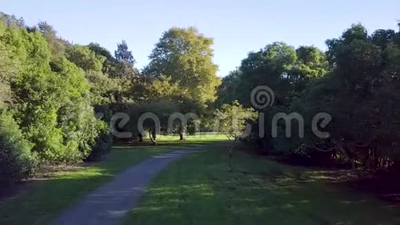 新西兰秋季邻里公园步道视频的预览图