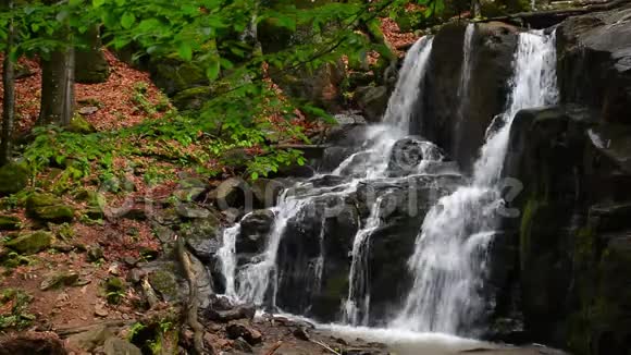 瀑布Skakalo在森林深处视频的预览图