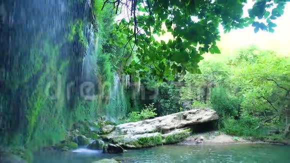 森林中平静的瀑布和池塘视频的预览图