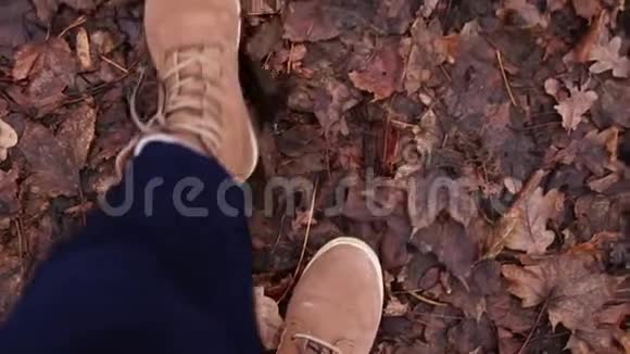 在阴晴不定的秋日人的双脚正在湿漉漉的落叶上行走俯视视频的预览图