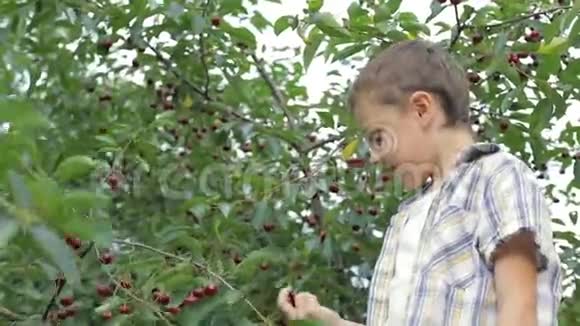 快乐的小男孩吃樱桃视频的预览图