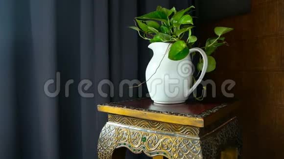 平静的生活一个白色的水壶一个绿色的叶子放在凳子上上面有泰国的装饰品视频的预览图