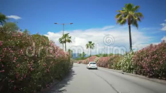 从司机的角度来看度假城市的汽车与棕榈树沿着街道行驶视频的预览图