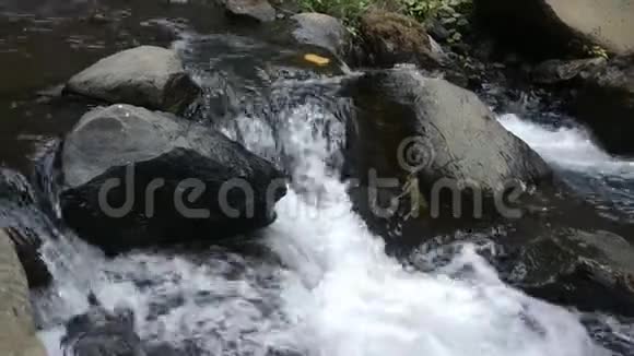 塞默鲁山河水流视频的预览图