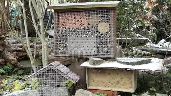 冬季野生蜜蜂昆虫酒店花园里下雪视频的预览图