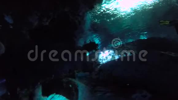 开放在塞诺特洞穴系统附近的Tulum与游泳者和水肺潜水员视频的预览图