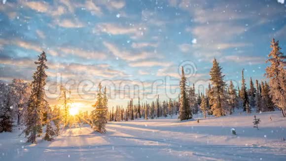无缝环日落时落在冬季景观上的雪Saariselka拉普兰芬兰视频高清视频的预览图