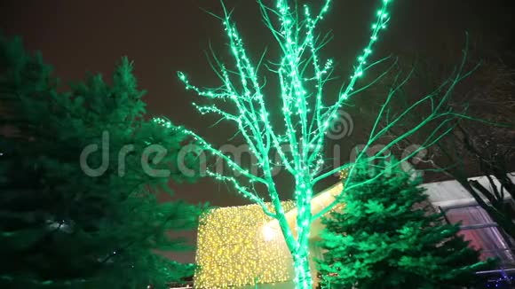 圣诞树灯圣诞树新年花环闪烁的灯圣诞灯新年装饰品视频的预览图
