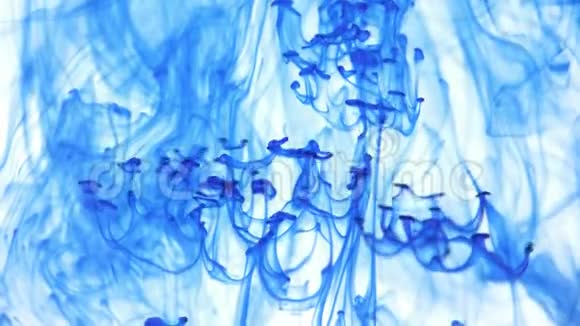 彩色墨云在水中生长视频的预览图