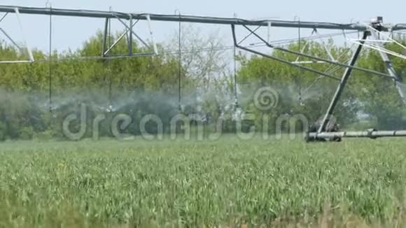 大面积的灌溉或喷灌站和年轻植物浇水视频的预览图