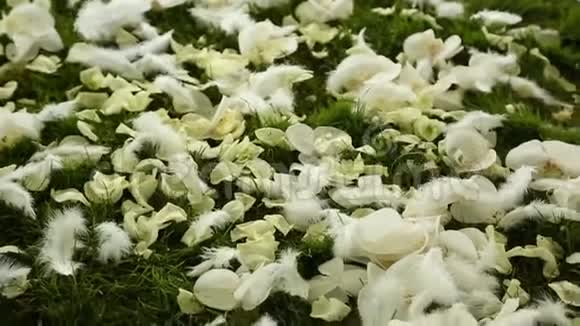 草地上的婚礼花瓣视频的预览图