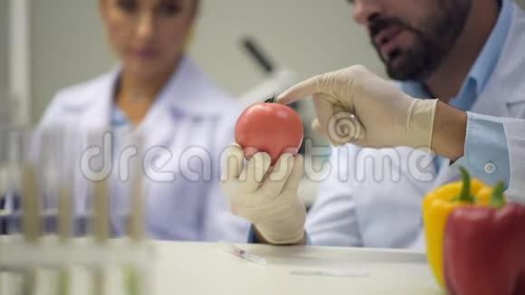 密切注意男性研究者向番茄注射化学液体视频的预览图
