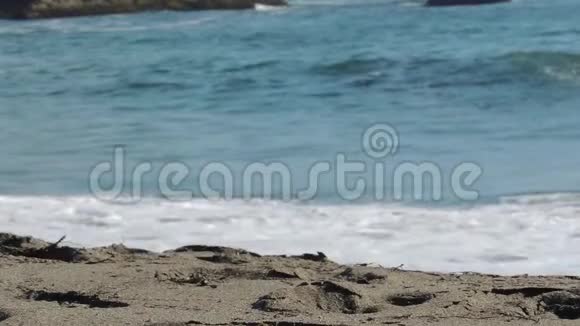 俄勒冈州布鲁金斯附近的海滩上海浪汹涌视频的预览图