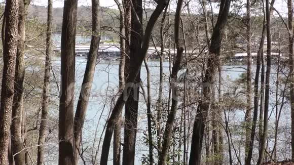 乔治亚州阿拉图纳湖通过树木观赏滨海和阿拉图纳湖视频的预览图