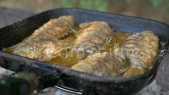 在煎锅和烤架里用油煮鱼在露天煎鱼专业餐饮美味脆脆的食物视频的预览图