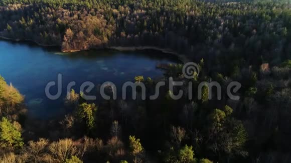 春季清澈湖水的空中钻探镜头视频的预览图