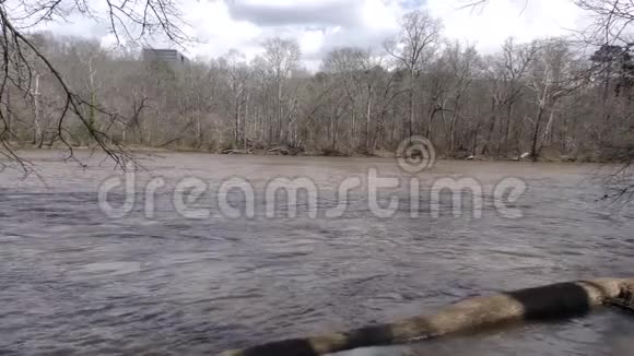 格鲁吉亚查塔霍切河下游河流原木树木和流水视频的预览图