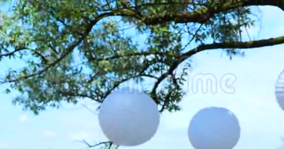 婚礼上树上挂着彩色的结婚装饰品视频的预览图