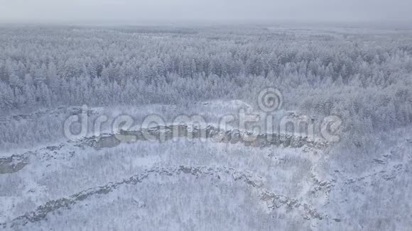 从鸟瞰雪盖采石场和森林景观视频的预览图