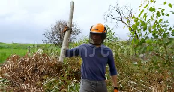 伐木工人扔木原木4K视频的预览图