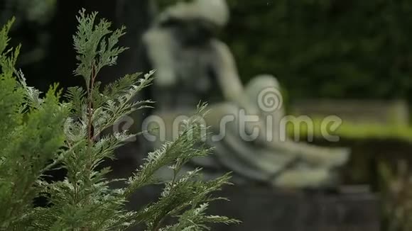 美丽的女天使雕塑米洛戈伊公墓的雕像视频的预览图