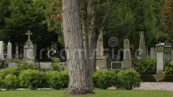 美丽的米洛戈伊公墓公园全景有很多坟墓和坟墓视频的预览图