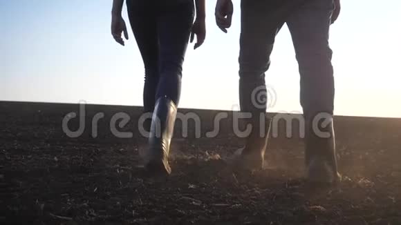 合作农民农业是一个概念慢动作视频一队农民一对幸福的家庭夫妇走在地面上视频的预览图