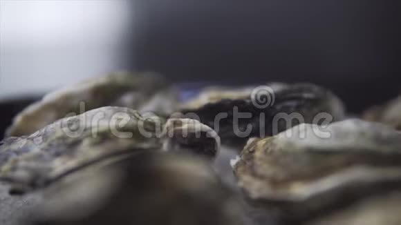 健康的海鲜特写生闭牡蛎形成海洋视频的预览图
