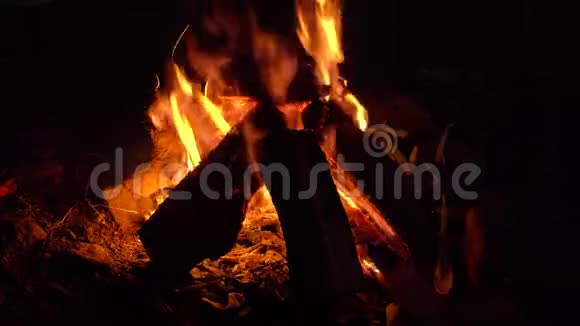 着火了篝火晚会黑色背景下燃烧的火焰特写视频的预览图