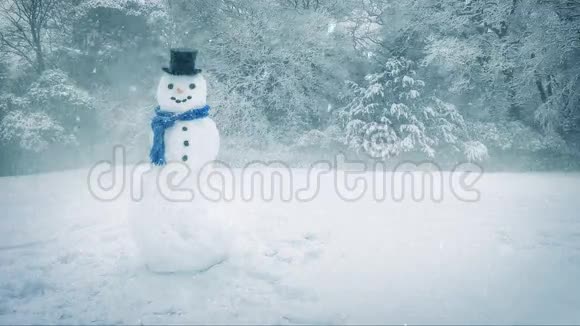大雪中的雪人视频的预览图