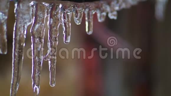 电线上的冰柱特写镜头融化的冰滴水春天视频的预览图