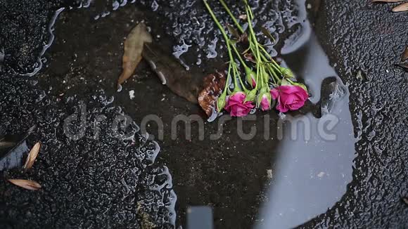 花躺在肮脏的水坑里在不幸的婚姻中浪费生命和美丽视频的预览图