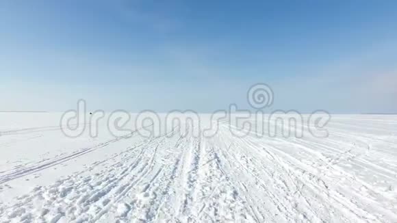 带着雪橇的狗在冰冻的海湾里撒布视频的预览图